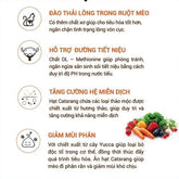 Hạt Cho Mèo Mọi Lứa Tuổi Catsrang - Paddy Pet Shop